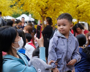Mấy năm rồi được về quê đón Tết nhờ có xe miễn phí