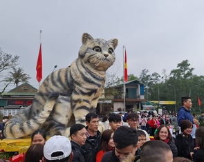 "Hoa hậu mèo" Quảng Trị là điểm check-in thu hút dịp Tết