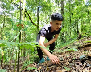 Kiểm định chất lượng sâm Ngọc Linh bằng máy tại phiên chợ sâm