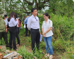 Tòa án thẩm định đất của nghệ sĩ Vũ Linh liên quan vụ kiện chia di sản