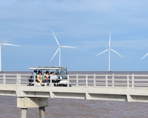 Loạt đề xuất mới phát triển điện gió ngoài khơi, xử lý 2.330MW điện mặt trời từ quy hoạch cũ