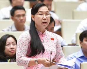 Đại biểu nêu đấu giá bất thường khi giá khởi điểm 24 tỉ nhưng giá trúng tới 1.684 tỉ đồng