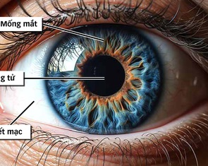 Vì sao mống mắt được thu thập làm dữ liệu căn cước?