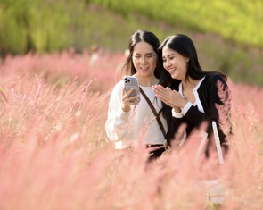 Ngắm đồi hoa Đà Lạt, hòa mình vào không gian văn hóa cồng chiêng