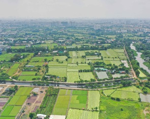 Sau 24 năm, khu quy hoạch công viên vẫn như 'mảnh vườn' hoang sơ