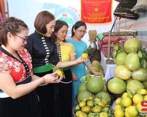Xây dựng thương hiệu nông sản Phù Yên