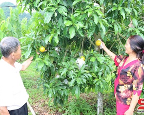 Ứng dụng công nghệ cao vào sản xuất nông nghiệp