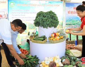 Vân Hồ nâng tầm sản phẩm đặc sản địa phương