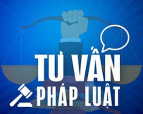 Luật sư tư vấn mọi vấn đề pháp luật trên Tuổi Trẻ Sao