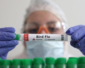 Viện Pasteur TP.HCM ra công văn khẩn do Campuchia có người nhiễm cúm H5N1
