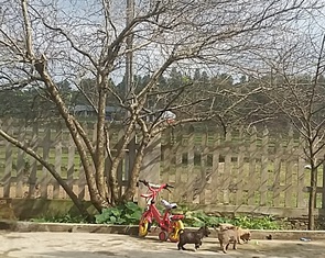 Có những ngôi nhà không cũ nổi trong ta…