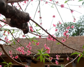 Nước mắt ngày trở về