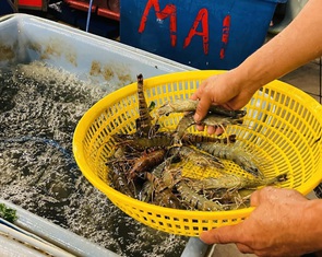 Vì sao gần hết quý 1, xuất khẩu thủy sản vẫn trầm lắng?