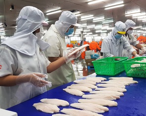 Tìm động lực tăng trưởng mới cho thủy sản