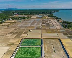 TP.HCM yêu cầu khẩn trương nghiên cứu xây cảng trung chuyển Cần Giờ