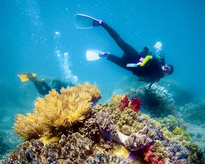 Festival biển Nha Trang: 1.653 máy bay không người lái trình diễn ánh sáng nghệ thuật