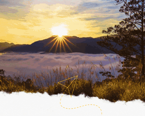 Cẩm nang du lịch Đà Lạt: Điểm đến dã ngoại kết hợp thể thao