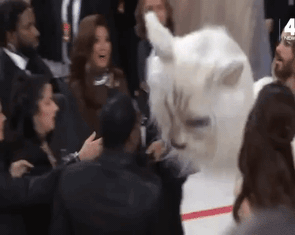 Met Gala 2023: Bữa tiệc trắng đen sang trọng nổi tiếng nhất thế giới