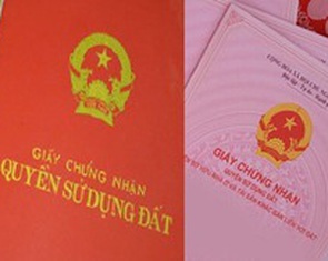 TP.HCM: Sổ hồng hộ gia đình, cá nhân chỉ do chi nhánh văn phòng đăng ký đất đai cấp