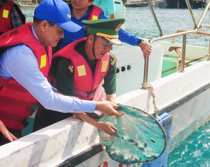 Thả cá ra vịnh Nha Trang