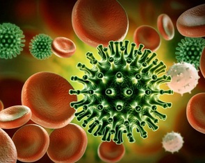 Xuất hiện biến thể phụ JN.1 tại TP.HCM, số ca nhập viện tăng, có ca phải thở oxy