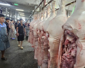 Tại sao giá heo hơi chưa tăng như nhiều người kỳ vọng?