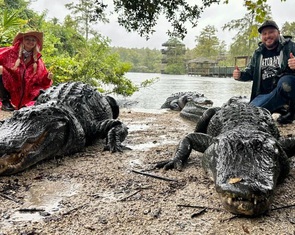 Dân Florida hoảng hồn vì cá sấu lên trú ở phòng khách sau bão Milton