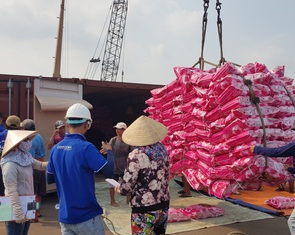 Gạo 5% tấm Việt Nam bị ảnh hưởng ra sao khi Ấn Độ nới xuất khẩu gạo?