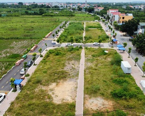 Người trúng đấu giá bỏ cọc tràn lan sau khi đẩy giá đất vùng ven Hà Nội lên trên 100 triệu/m²