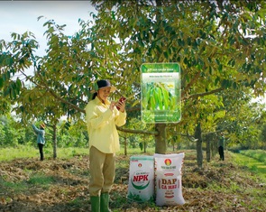 Những chuyến xe mùa vàng chở ngàn tâm tình nhà nông
