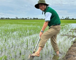 Trồng lúa sạch ứng dụng công nghệ, tăng thu nhập cho nông dân