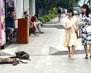 Chó thả rông tràn lan ở bờ biển Nha Trang, du khách lo sợ