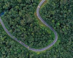 Ai có quyền bán và bán carbon rừng như thế nào?