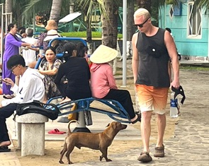 Vụ chó thả rông tràn lan ở bờ biển: Lãnh đạo địa phương phải có trách nhiệm