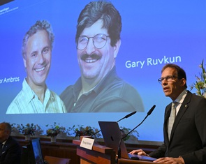 Nobel y sinh vinh danh nghiên cứu về điều hòa gene