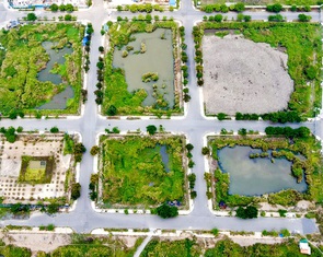 'Thổi giá' đấu giá đất: Tránh để thành 'trọng bệnh'