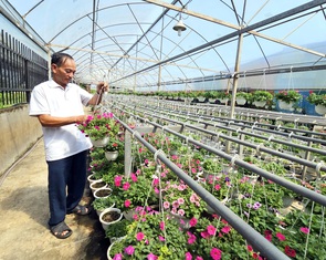 Xây nhà tạm trên đất nông nghiệp: Trúng nhu cầu làm nông nhưng tránh biến tướng