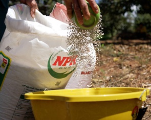 Những giải pháp hay giúp 'thức dậy' những mùa vàng