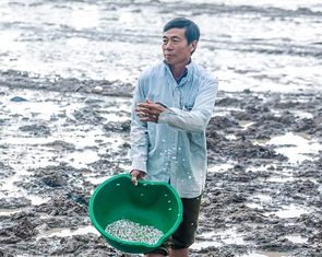 Thuế VAT phân bón: Trăn trở của nông dân miền Tây