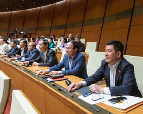 Thông qua Luật Điện lực, nhiều nội dung giao Chính phủ quy định chi tiết
