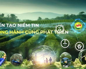 Phân bón Cà Mau lần thứ 6 liên tiếp nhận giải thưởng Thương hiệu quốc gia