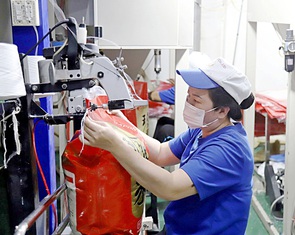 Sẽ sớm có nhãn hiệu gạo Việt