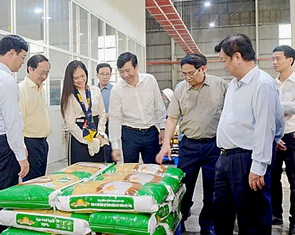 Chung tay xây dựng thương hiệu gạo Việt - Kỳ 3: Phải có logo thương hiệu gạo Việt