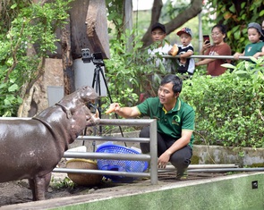 Gỡ khó cho Thảo cầm viên Sài Gòn: 'Chúng tôi thấy ấm lòng'