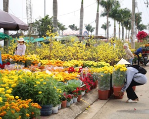 Chợ hoa Tết Cần Thơ miễn tiền thuê mặt bằng, tiền điện, nước