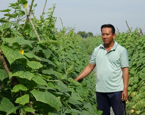 Kiên Giang: Nông thôn mới giúp nâng cao đời sống người dân