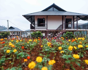 Thân nhân 3 hộ dân Làng Nủ xin nhường nhà tái định cư