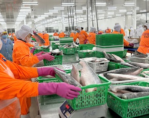 Doanh nghiệp Việt khai phá thị trường Halal