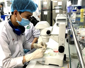 Đại học Quốc gia TP.HCM công bố hơn 3.100 bài báo quốc tế trong 1 năm