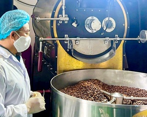 Doanh nghiệp rang xay, hàng quán... 'đau đầu' với giá cà phê